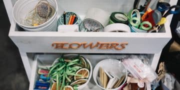 sustainable organization