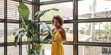 Maximize Natural Light: 5 DIY Window Treatment Ideas for 2026 natural