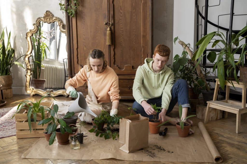 eco